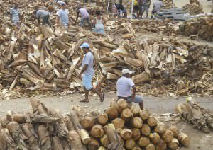 Em Laranjeiras, a venda acontece no terreno entre o Epa Supermercado e o Terminal do Transcol. Foto: Arquivo TN