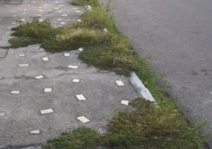 2a2ff22c-e89b-4545-8aad-1227834008d6