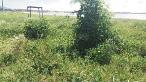 d00e5899-9306-4aae-ab79-1c99c6701b17