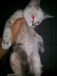 13509492_10205143006729875_1453620684_o