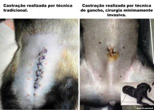 13509787_1123830444344571_1186159128_o