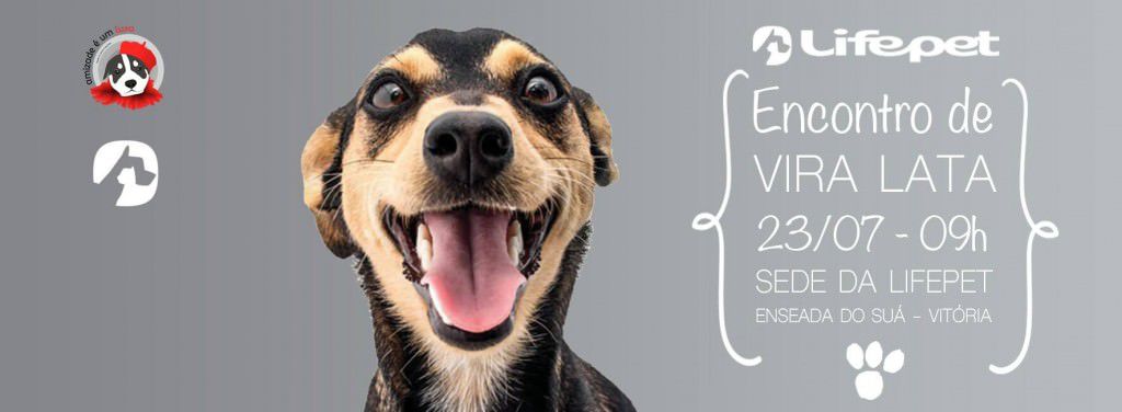 encontro de vira-latas