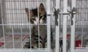 WhatsApp Image 2016-08-02 at 18.45.25