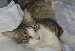 14324698_1056681404448380_1469598872593952453_o