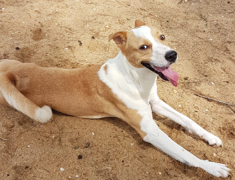 Glenda - Shopping Praia da Costa