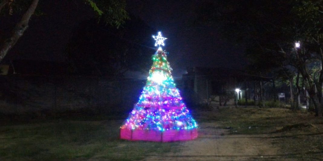 arvore-de-natal