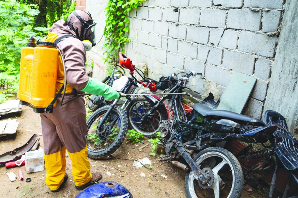 dengue epidemia serra