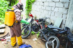 dengue epidemia serra