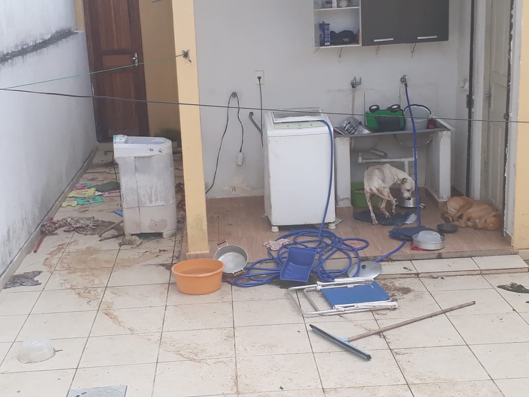 WhatsApp Image 2020-04-08 at 12.34.41 PM