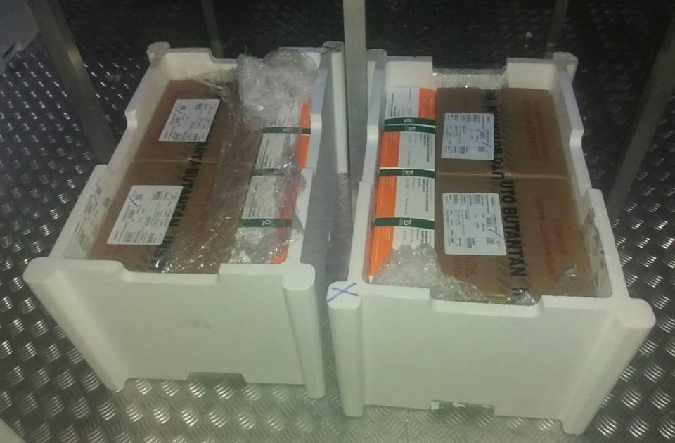 WhatsApp Image 2021-03-03 at 08.09.39 (1)