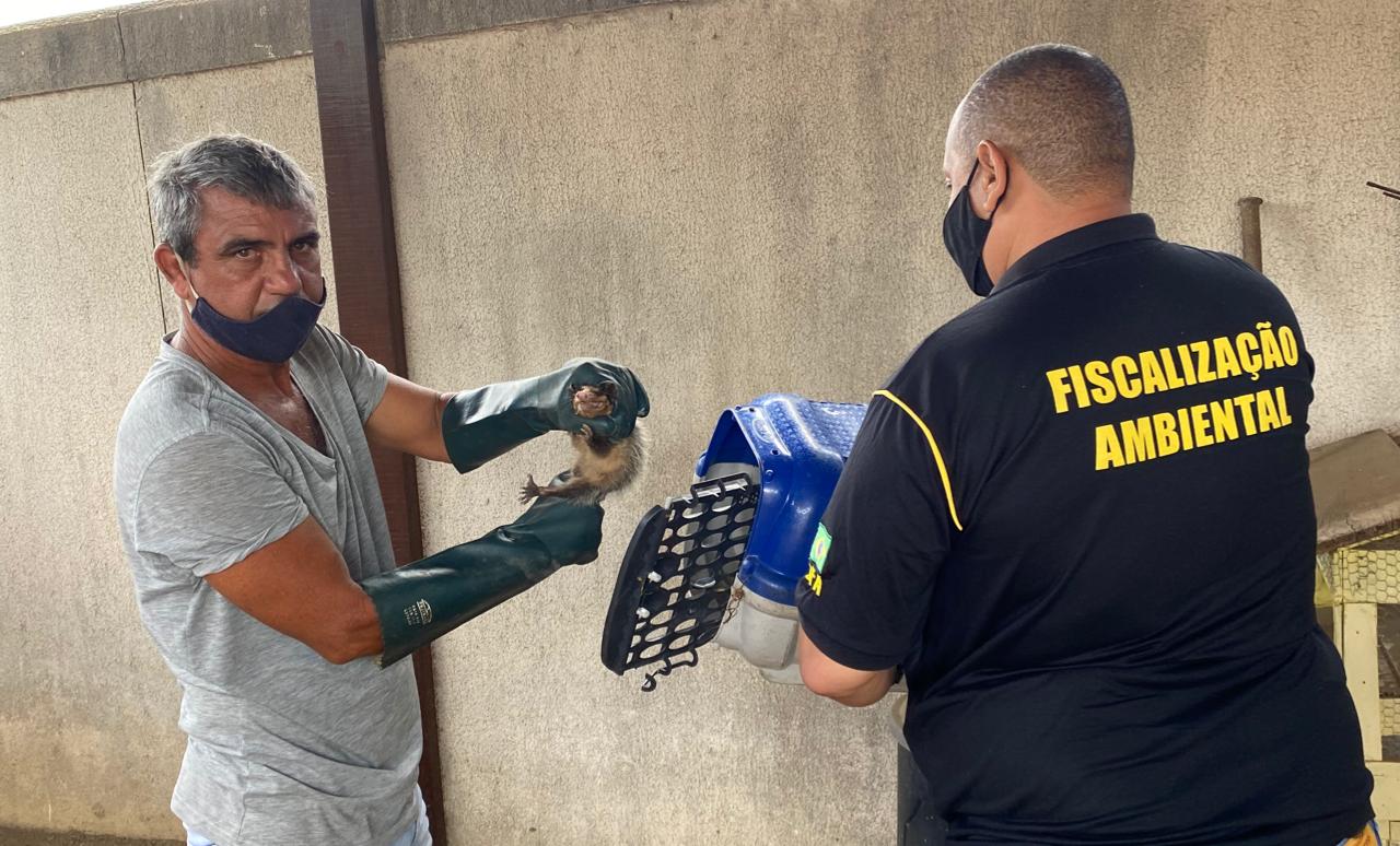 WhatsApp Image 2021-03-03 at 10.35.32 AM