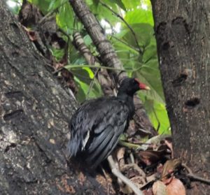 WhatsApp Image 2021-04-02 at 19.35.54