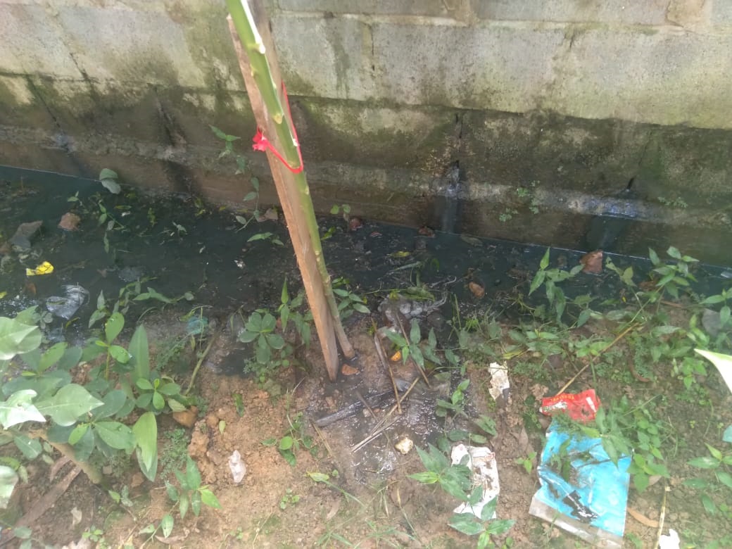 WhatsApp Image 2021-04-26 at 12.44.50 PM