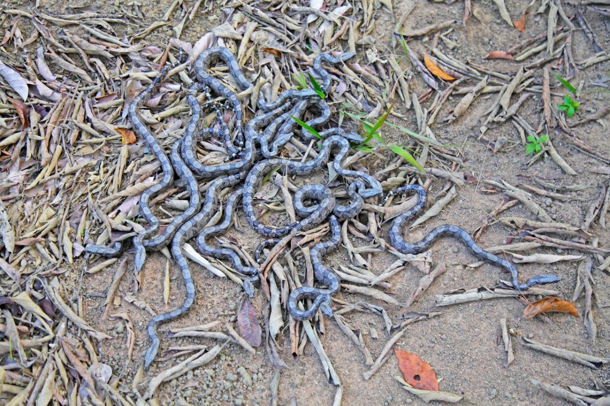 save-20210519-174411