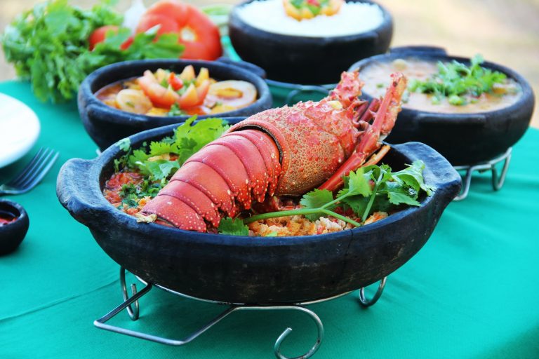 Catado-de-lagosta Recanto-das-Estrelas-768x512