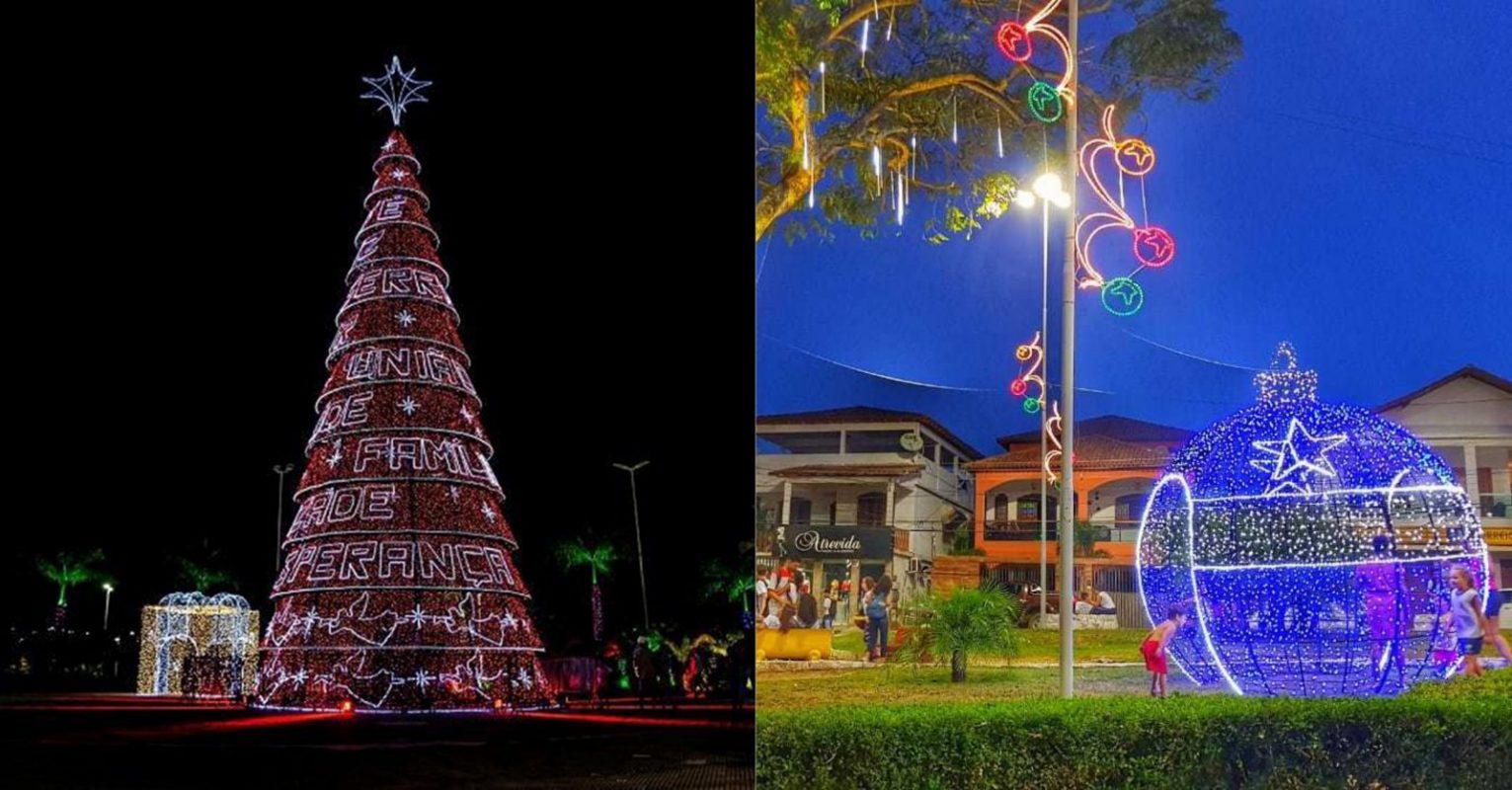 Não tem tempo? Empresas montam sua árvore e fazem a decoração de Natal