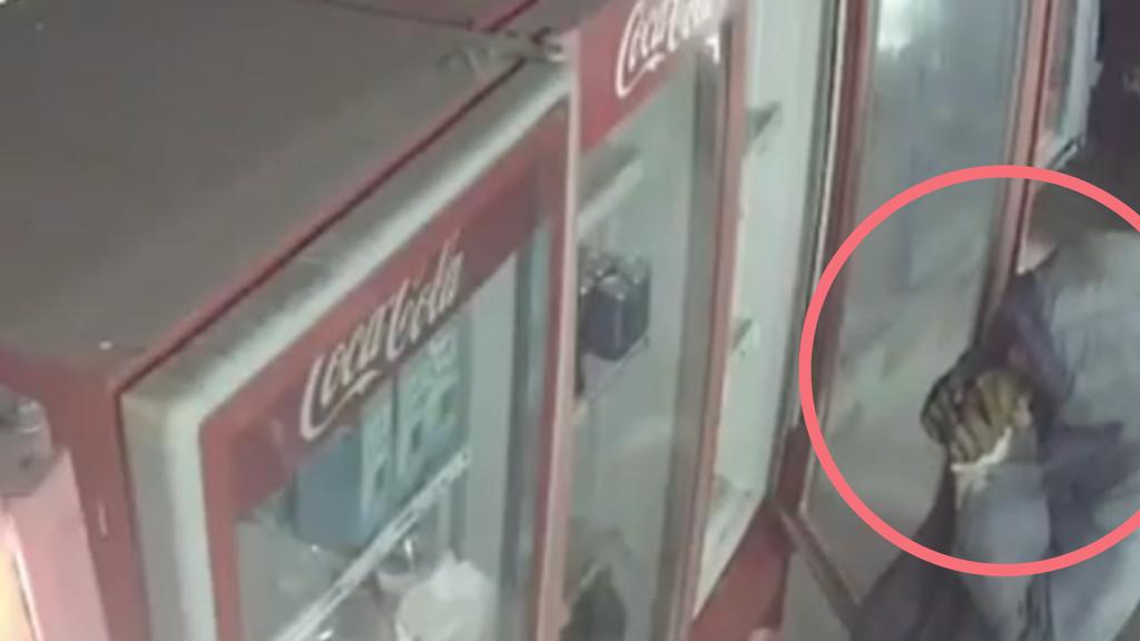 WhatsApp Image 2022-06-29 at 15.15.28