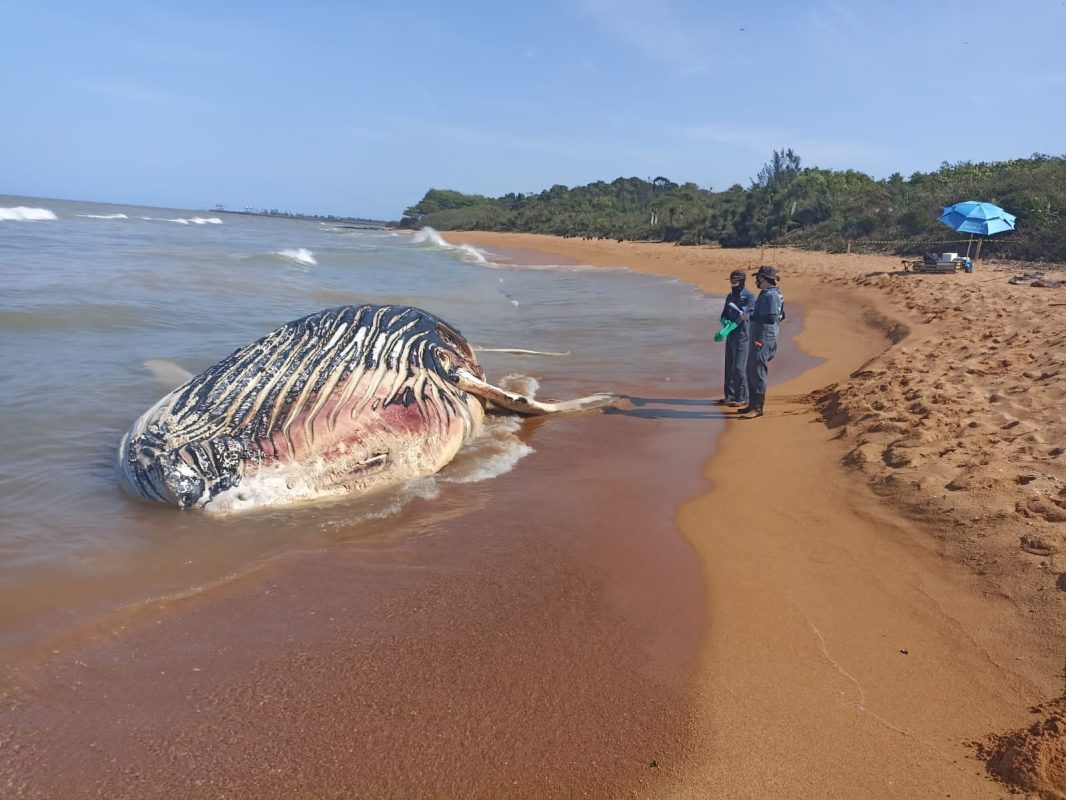 WhatsApp Image 2022-08-08 at 14.24.20 Serra