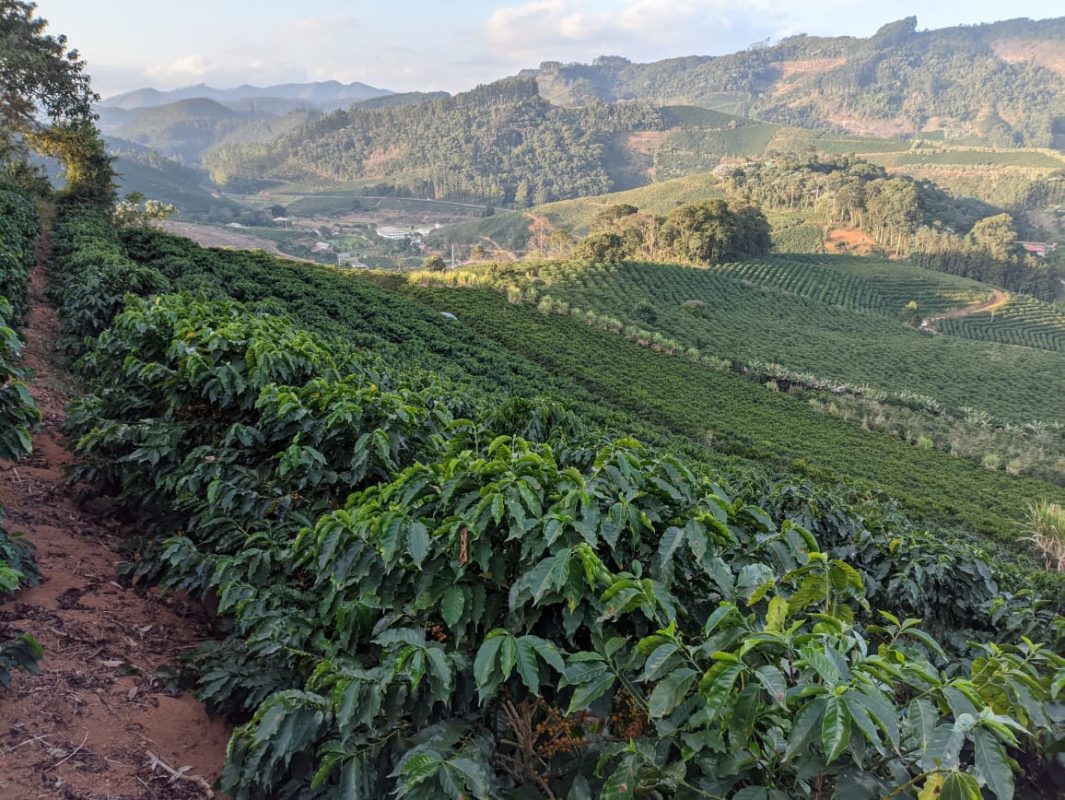 WhatsApp Image 2022-08-11 at 15.27.02 (1)