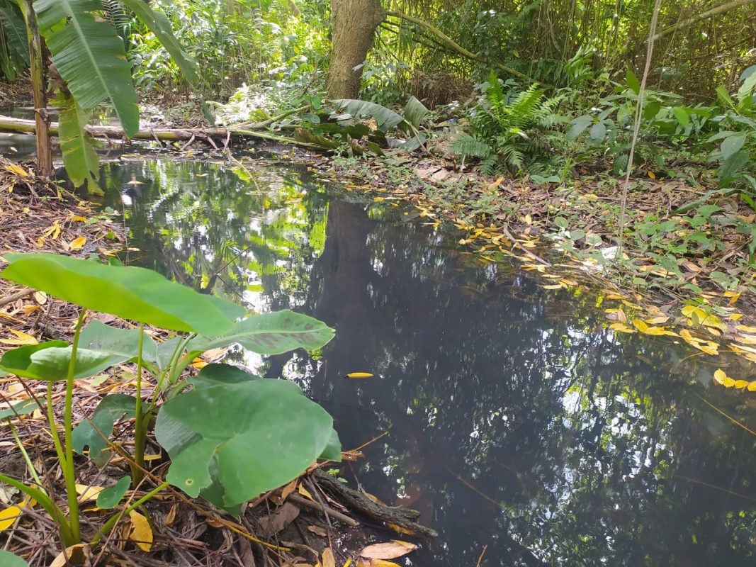 WhatsApp Image 2022-10-25 at 7.01.03 PM