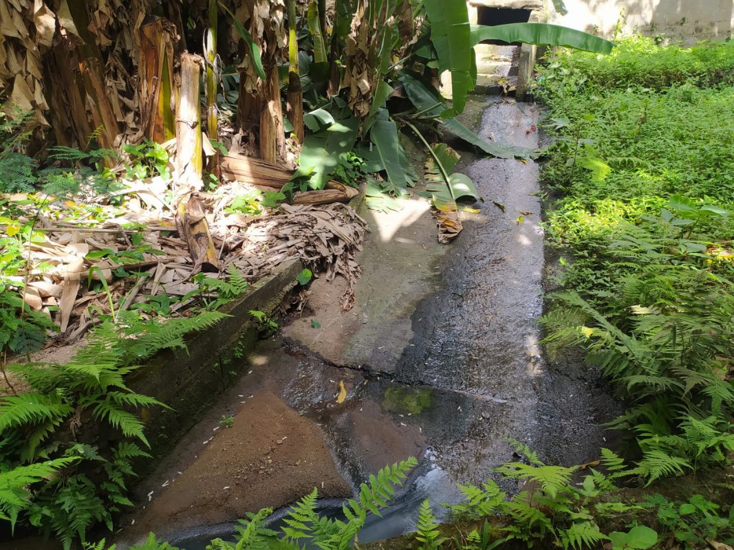 WhatsApp Image 2022-10-25 at 7.01.31 PM