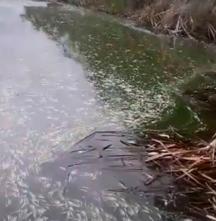 WhatsApp Image 2022-11-03 at 3.47.30 PM