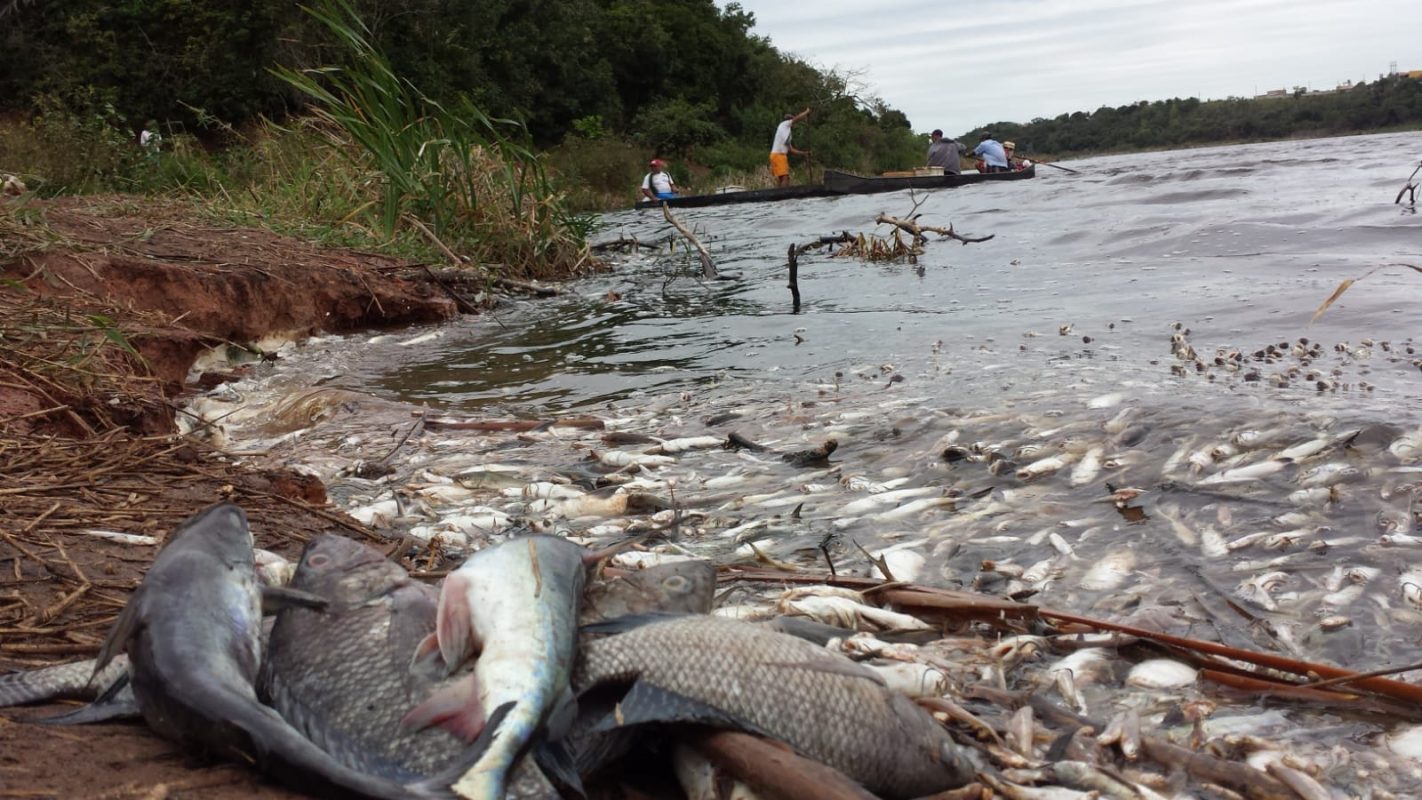 WhatsApp Image 2022-11-03 at 3.50.12 PM