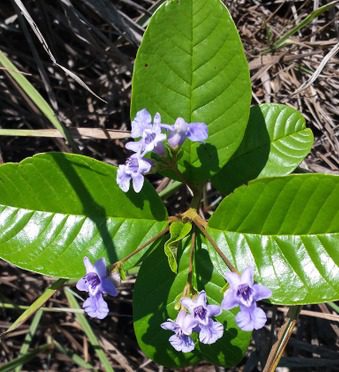 WhatsApp Image 2022-11-07 at 10.36.45 AM