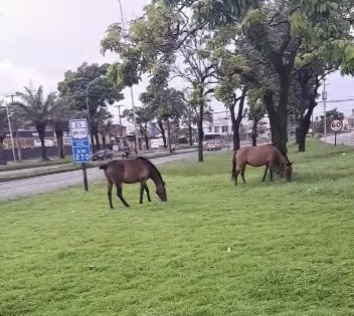 FF752798-E7CA-4546-8BC0-E0377CDF96D8