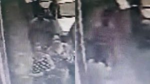 Serra roubo laranjeiras velha