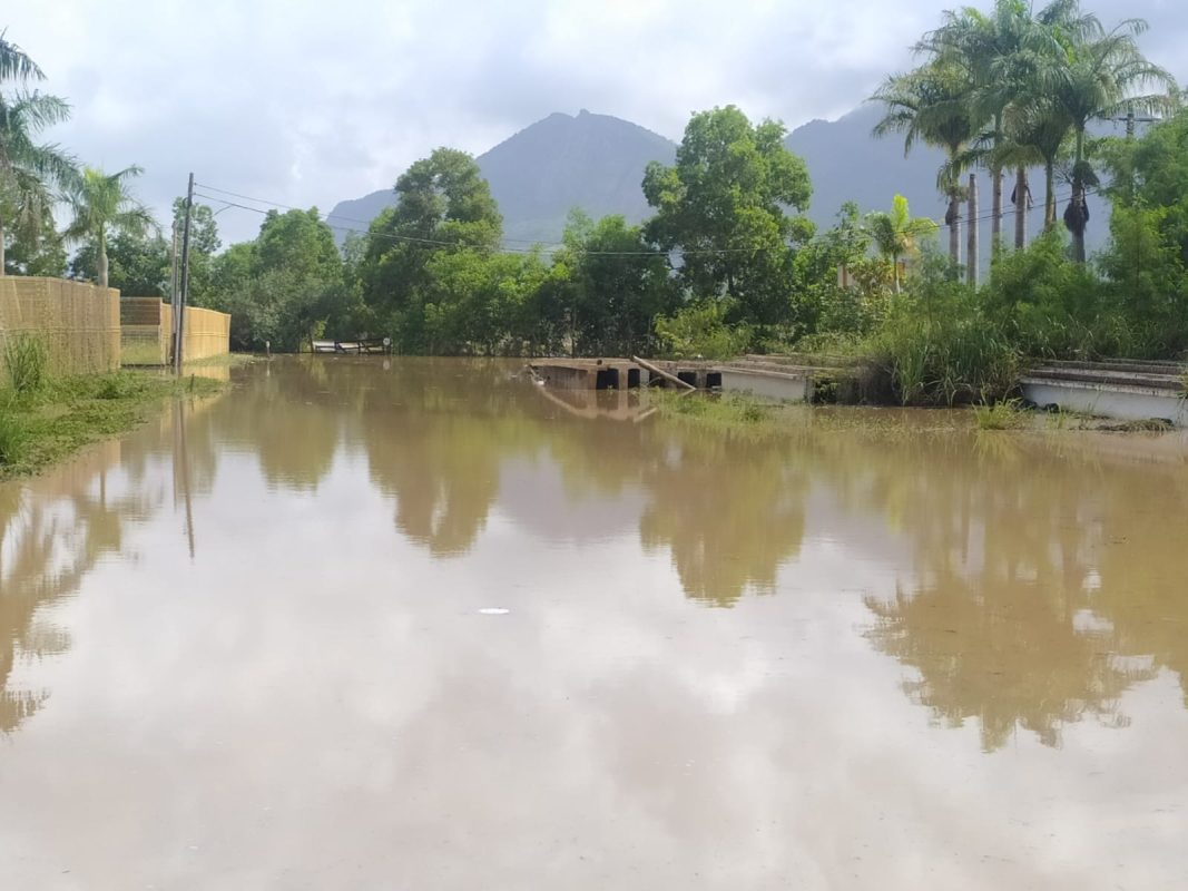 WhatsApp Image 2022-12-05 at 9.12.49 AM