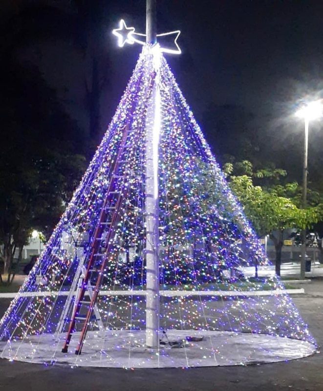 WhatsApp Image 2022-12-12 at 1.12.19 PM árvore