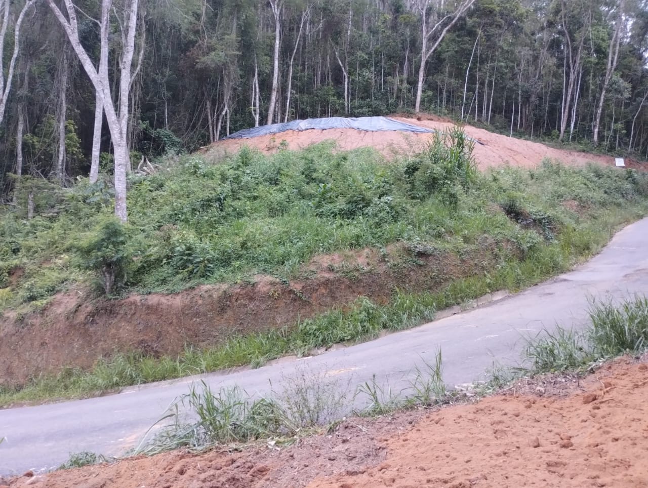 WhatsApp Image 2023-01-26 at 2.09.38 PM (1)