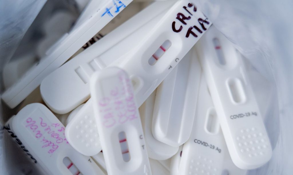 51806240901_d8ef5382c1_k testes