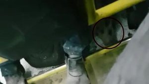 Transcol Serra Porco