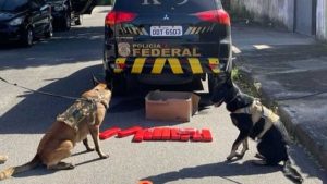 Polícia Federal Correios Serra Maconha