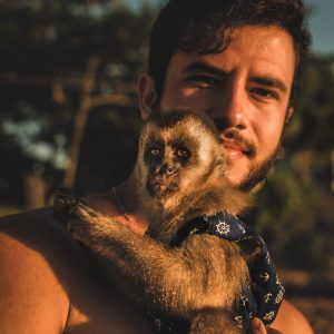 Macaco Davi