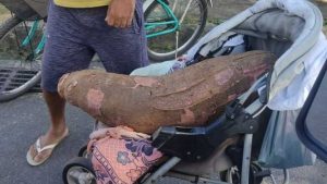 Mandioca Morador da Serra