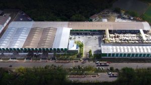 Vitória Stone Serra Emprego