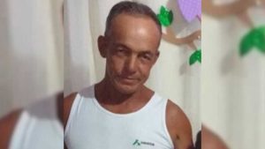 Enxame de abelhas Idoso