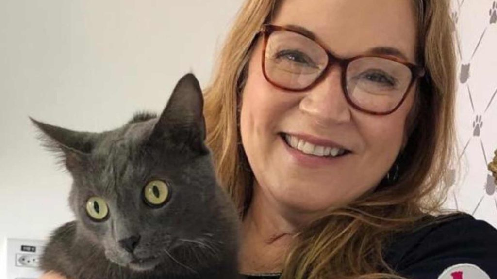 felinos palestra