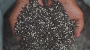 Fertilizante organomineral