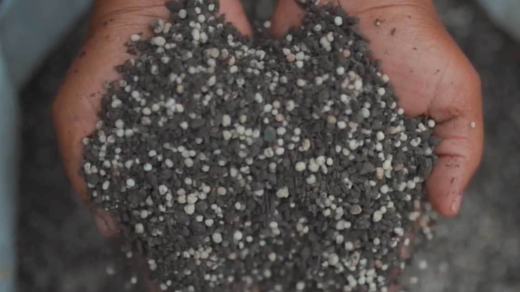 Fertilizante organomineral