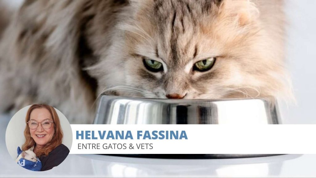 felinos