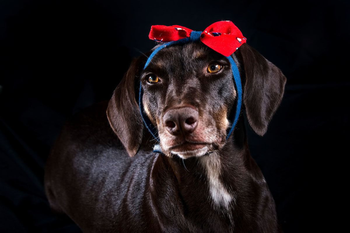 WhatsApp Image 2023-07-10 at 15.59.16 (1)