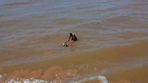 Corpo Decomposição Serra Praia