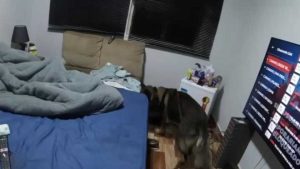 Estudante de psicologia preso crianças