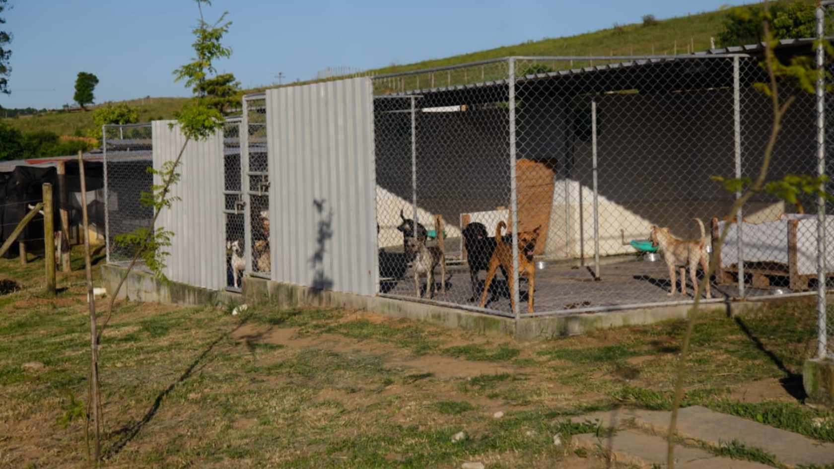 Cópia de Design sem nome (4) animais Serra