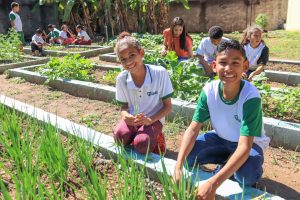 Horta em escola Serra Alunos Verduras