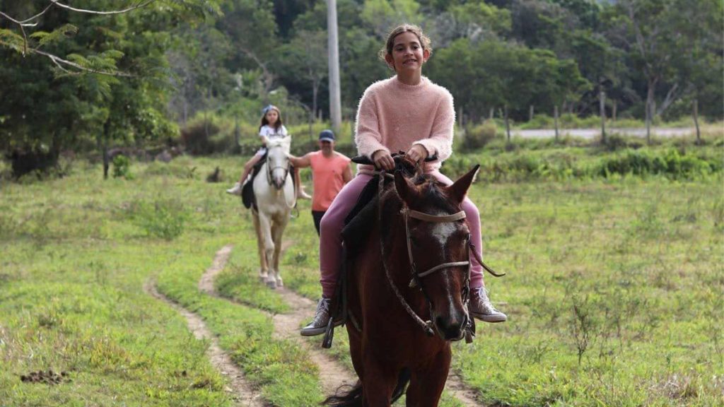 galinha caipira